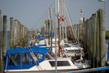 bootssteg-des-pellwormer-yachtclubs-im-sommer.jpg